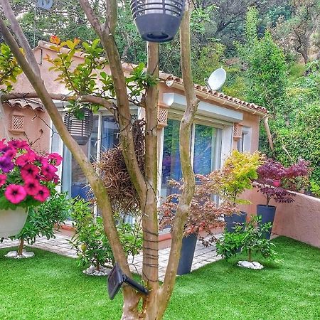 Bed and Breakfast Dans Un Jardin Bb Et Jacuzzi Мандельє-ла-Напуль Екстер'єр фото